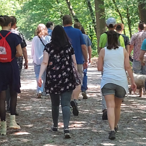 Stichting Brabant Maatjes - Wandelen Kaatsheuvel Bos