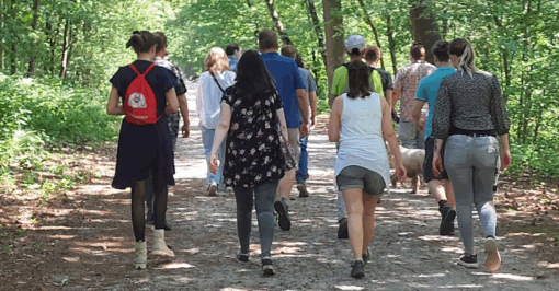 Stichting Brabant Maatjes - Wandelen Kaatsheuvel Bos