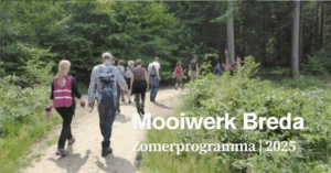 Stichting Brabant Maatjes - Zomerprogramma Mooiwerk Breda WAndeling
