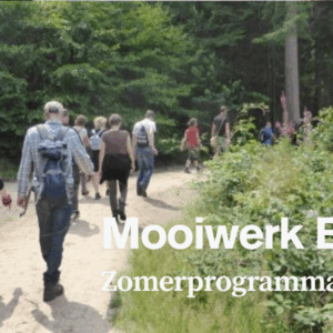 Stichting Brabant Maatjes - Zomerprogramma Mooiwerk Breda WAndeling