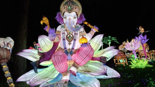 Light Safari Beekse Bergen