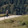 Wandelen