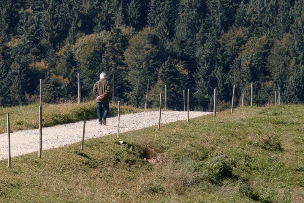 Wandelen