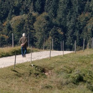 Wandelen