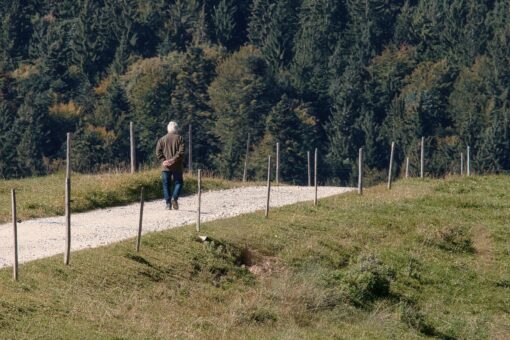 Wandelen