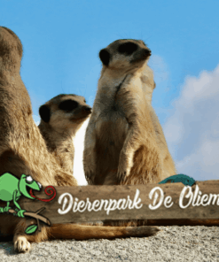 stichting brabant maatjes bezoekt Oliemeulen in tilburg