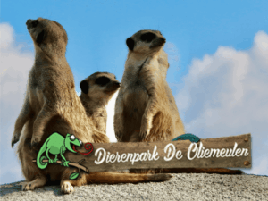 stichting brabant maatjes bezoekt Oliemeulen in tilburg