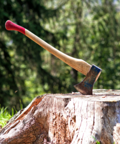 Zaterdag 7 maart 2026|  Bijlwerpen bij Bossche Bijlen | 18+