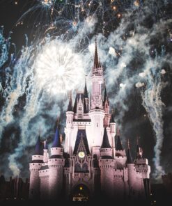 Dagje Disneyland Parijs