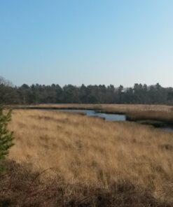 Wandeling oude meer Son en Breugel